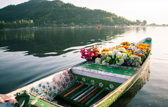 Srinagar Landscape 03